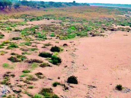 Wainganga river bed dry | वैनगंगा नदीचे पात्र कोरडे