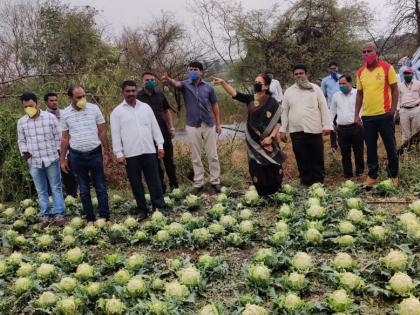 Demand for help to affected farmers | नुकसानग्रस्त शेतकऱ्यांना मदतीची मागणी