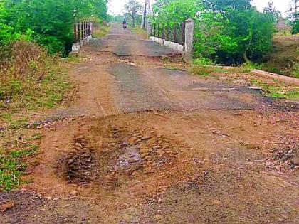 Internal roads in Bhendala area are paved | भेंडाळा परिसरातील अंतर्गत रस्ते खड्डेमय