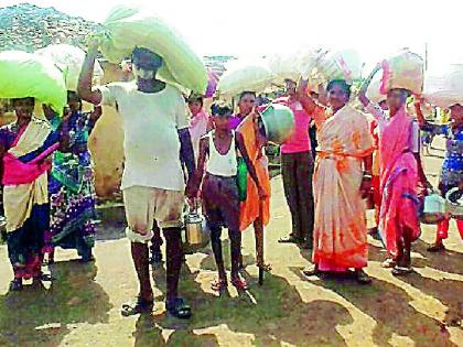 Due to the sudden rainy season, | अवकाळी पावसाचा तेंदूपत्ता संकलनाला फटका