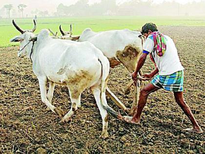 Helping the farmers in three stages | तीन टप्प्यात शेतकऱ्यांना मदत