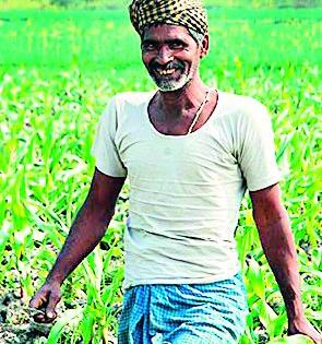  So far 23 thousand farmers have waived debt | आतापर्यंत २३ हजार शेतकऱ्यांचे कर्ज माफ