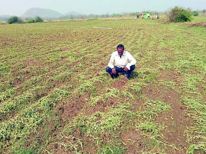 Sir ... we are not a farmer? | साहेब... आम्ही शेतकरी नाही का ?