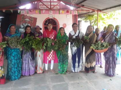 Women's Agricultural School at Jaulke | जऊळके येथे महिला शेतीशाळा