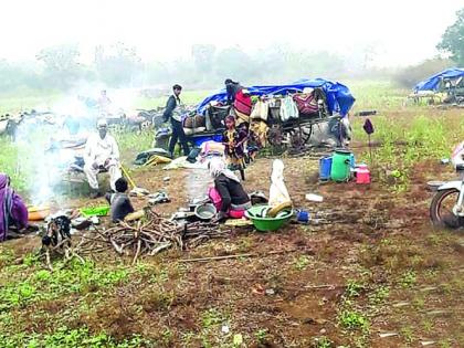 4,500 shepherds stranded in Buldana district! | बुलडाणा जिल्ह्यात अडकलेल्या ४,५०० मेंढपाळांची परवड!