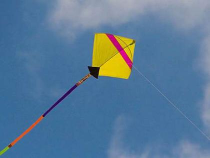  Filed under kite flying | पतंग उडविणा-याविरुद्ध गुन्हा दाखल