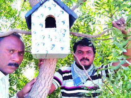 Bird Week concludes with nesting in Khamgaon | खामगावात घरटे लावून पक्षी सप्ताहाचा समारोप