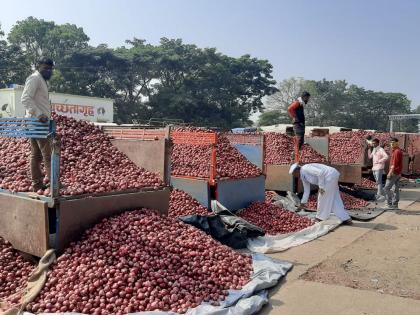 Onion prices fall due to increase in domestic revenue | देशांतर्गत आवक वाढल्याने कांदा दरात घसरण