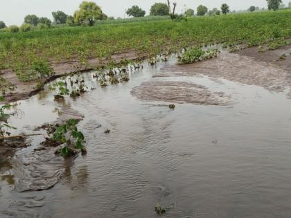Panchanam of agricultural losses in Sonaval area | सोनवल परिसरातील शेतीच्या नुकसानीची पंचनामे Panchanam of agricultural losses in Sonaval area | सोनवल परिसरातील शेतीच्या नुकसानीची पंचनामे