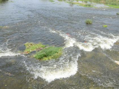 With the release of the cycle from the Akkalpada dam, the flow of Panjhra river flowed | अक्कलपाडा धरणातून आवर्तन सोडल्याने पांझरा नदी झाली प्रवाही With the release of the cycle from the Akkalpada dam, the flow of Panjhra river flowed | अक्कलपाडा धरणातून आवर्तन सोडल्याने पांझरा नदी झाली प्रवाही