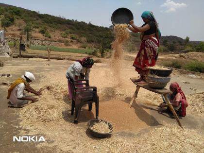 Traditional rice grains are rare to see | पारंपारिक भात मळणी होऊ पाहतेय दुर्मिळ