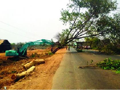 Tree felling for bypass | सहापदरी बायपाससाठी वृक्षांची कत्तल