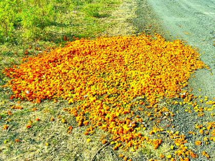 heaps of marigolds on the streets farmers remained hungry loss due to fall in prices | रस्त्यांवर झेंडूच्या फुलांचे ढीग; शेतकरी राहिला उपाशी, भाव घसरल्याने नुकसान