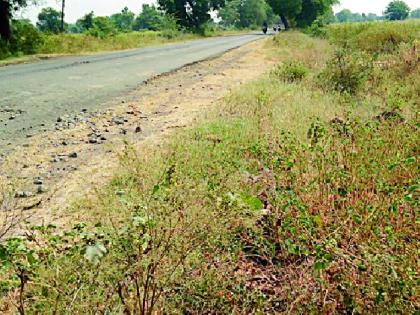 Expenditure on tree cultivation in the water | वृक्ष लागवडीवरील खर्च पाण्यात