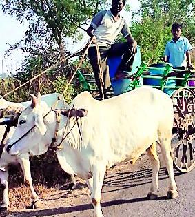 Taha to water in Ner taluka | नेर तालुक्यात पाण्यासाठी टाहो