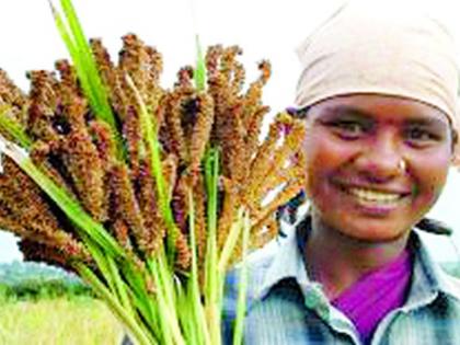 Hardworking Farmer's kids Hungry | कष्टिक पोशिंद्याच्या पोरांचेच पोट गेले खपाटीला