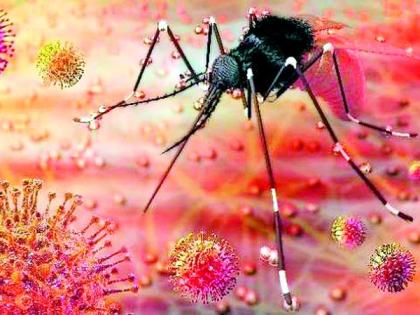 After the corona, now the threat of Zika virus | कोरोनानंतर आता झिका व्हायरसचा धोका