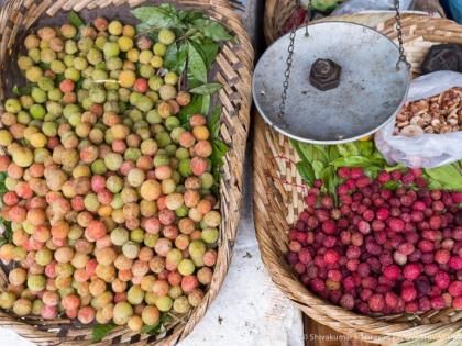 The villagers taste the sweetness of legumes | ग्रामीण नागरिक चाखतोय रानमेव्याचा गोडवा