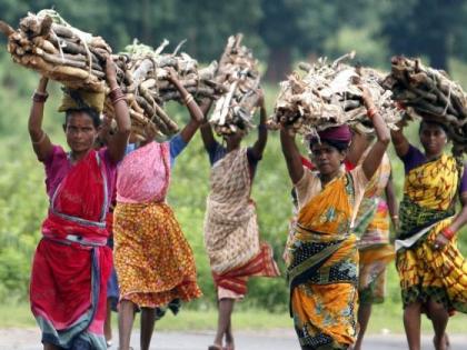 The blow of rising gas prices; Danger to fire wood picking for women | गॅसचे भाव वाढल्याचा फटका; सरपणाकरिता जीव धोक्यात