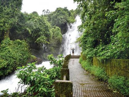 CoronaVirus Lockdown: Lockdown causes waterfalls to turn golden | CoronaVirus Lockdown : फुलून येणारे धबधबे पर्यटकांअभावी सुने-सुने