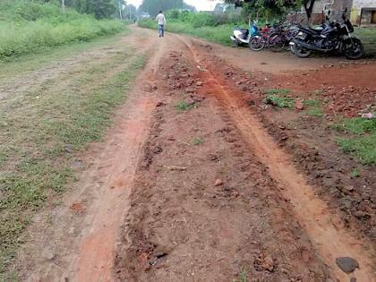 Roads in the villages of MPs are bad | खासदारांच्या गावातीलच रस्ते खराब