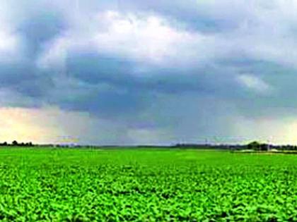 Repeat rain, hope for farmers | पुन्हा दमदार पाऊस, शेतकऱ्यांसाठी आशा