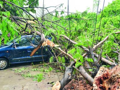 The storm hit the city, cars crushed under the trees | वादळाचा शहराला तडाखा, झाडांखाली दबल्या कार