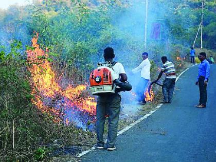 Start forestry control | जंगलातील वनवणवा नियंत्रणास प्रारंभ