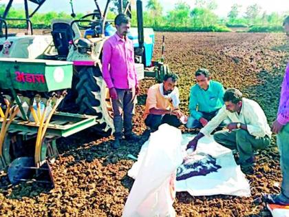 Paddy growers now rely on rabi crops | धान उत्पादक शेतकऱ्यांची भिस्त आता रब्बी पिकांवरच