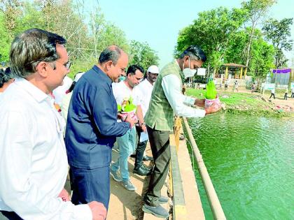 Plan to de-pollute Gosekhurd project | गोसेखुर्द प्रकल्प प्रदूषणमुक्त करण्यासाठी आराखडा