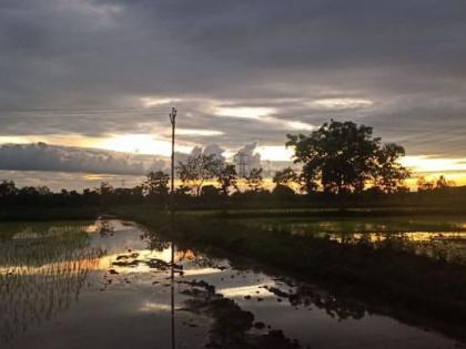 No rain; Dry day for next three days in some districts including Nagpur | पावसाने मारली दडी; नागपूरसह काही जिल्ह्यात पुढचे तीन दिवस ‘ड्राय डे’