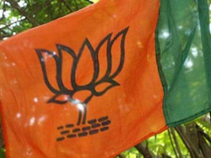 BJP's flag to be hoisted on 13 Gram Panchayats: Nasir Qazi | तेराही ग्रामपंचायतींवर भाजपचा झेंडा फडकविणार : नासीर काझी