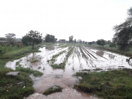 Rains hit crops in the district! | जिल्ह्यातील पिकांना पावसाचा तडाखा !