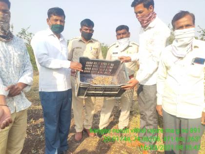 Two leopard cubs found at Karanjgaon | करंजगाव येथे आढळले बिबट्याचे दोन बछडे