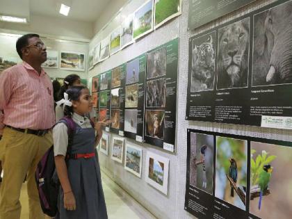 Save the river The spontaneous response to the photo exhibition | नदी वाचवा छायाचित्र प्रदर्शनाला उत्स्फुर्त प्रतिसाद