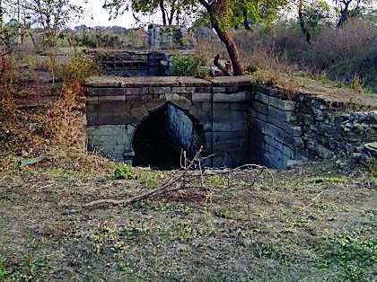 On the way to the destruction of the ancient vines | प्राचीन विहीर नष्ट होण्याच्या मार्गावर