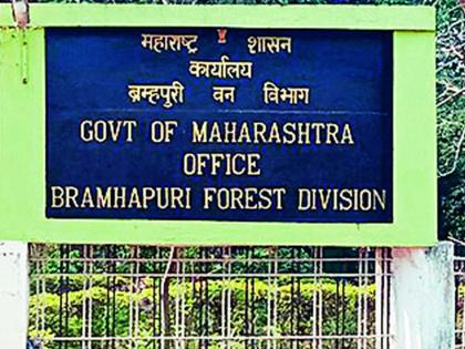 Attempt by Forest Department to suppress the case? | वनविभागाकडून प्रकरण दडपण्याचा प्रयत्न ?