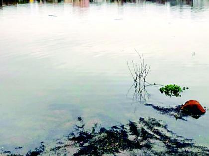 'Those' flood victims in Chandrapur are angry at the builders' lobby! | चंद्रपुरातील ‘त्या’ पूरग्रस्तांचा बिल्डर्स लाॅबीवर संताप !