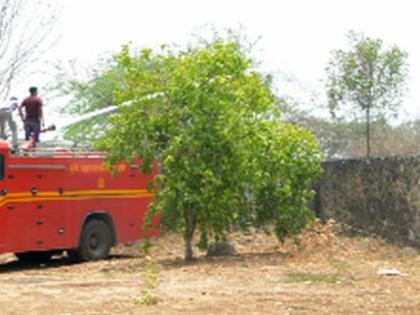 Fire brimble trees, luckily avoided harm | धुळ्यात काटेरी झुडूपांना आग, सुदैवाने हानी टळली