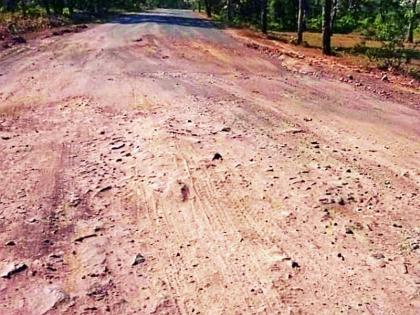 The paved roads became muddy | डांबरी रस्ते झाले मातीमय The paved roads became muddy | डांबरी रस्ते झाले मातीमय