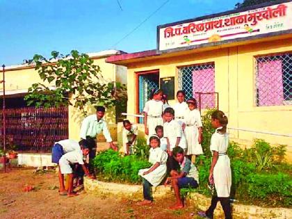 Murdoli school on the way to progress | मुरदोली शाळा प्रगतीच्या वाटेवर