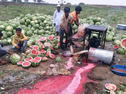 High-educated youth seeks employment in farming | उच्चशिक्षित युवकाने शोधला शेतीत रोजगार