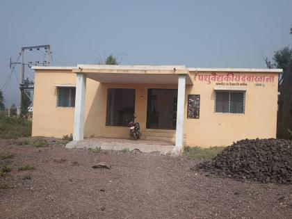  Waiting for a doctor at a veterinarian's clinic | खामखेड्याच्या पशुवैद्यकीय दवाखान्याला डॉक्टरची प्रतीक्षा