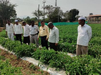 Agriculture officials inspect the crop going to the dam | कृषी अधिकाऱ्यांकडून बांधावर जात पिकाची पाहणी