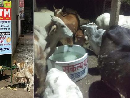 A 'Dana-water ATM' facility for animals | प्राण्यांसाठी ‘दाना-पाणी एटीएम’ची सोय A 'Dana-water ATM' facility for animals | प्राण्यांसाठी ‘दाना-पाणी एटीएम’ची सोय