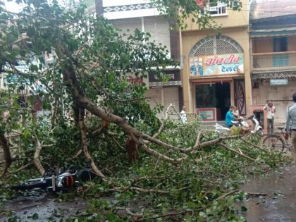 Due to the collapse of broken tree branches in Manik Chowk, traffic restriction | माणिक चौकात जीर्ण झाडाच्या फांद्या तुटल्याने वाहतूकीची कोंडी Due to the collapse of broken tree branches in Manik Chowk, traffic restriction | माणिक चौकात जीर्ण झाडाच्या फांद्या तुटल्याने वाहतूकीची कोंडी