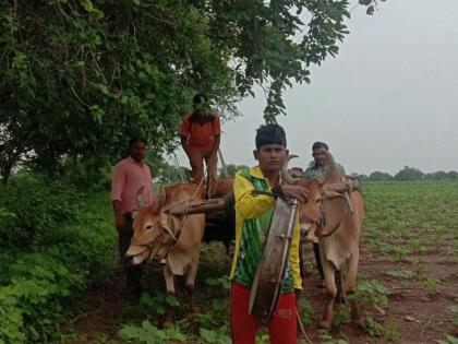 The death of a fate came on the part of pearl oxen | मोती बैलाच्या वाट्याला आले भाग्याचे मरण