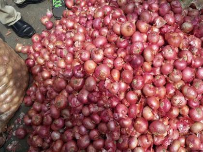 Summer onion harvest begins in Khamkhheda area | खामखेडा परिसरात उन्हाळी कांदा काढणीस सुरवात