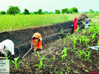 Only two and a half thousand laborers work under the Rural Employment Guarantee Scheme | ग्रामीण रोजगार हमी योजनेत फक्त अडीच हजार मजुरांच्या हाताला काम