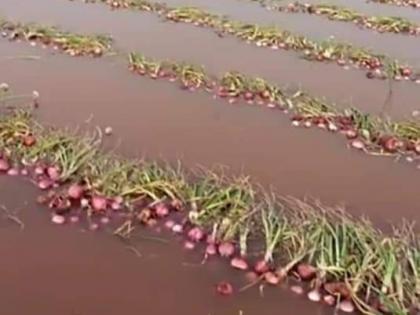 The return rains hit the farmer | परतीच्या पावसाने शेतकऱ्याचा केला घात